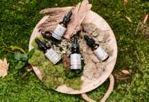 2 Gram Carts: Bu Cannabis Ürününü Kullanmanın Artıları ve Eksileri 2 Gram Carts: Bu Cannabis Ürününü Kullanmanın Artıları ve Eksileri