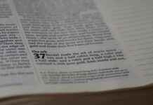 Akasyanın Ahşap İşçiliği: Doğanın En İyisinden Zamansız Parçalar Üretmek Akasyanın Ahşap İşçiliği: Doğanın En İyisinden Zamansız Parçalar Üretmek