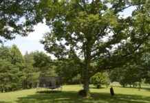 Big Air Chandler: İç Mekanda Trambolin Parkı Deneyimi Big Air Chandler: İç Mekanda Trambolin Parkı Deneyimi