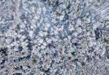 Charles Schwab Çalışanları Phoenix: Yerel İş Gücüne Bir Bakış Charles Schwab Çalışanları Phoenix: Yerel İş Gücüne Bir Bakış