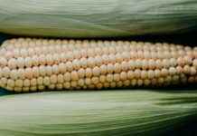 Geleceğin Algı Yönetimi: Yapay Zeka ve Veri Analitiğinin Rolü Geleceğin Algı Yönetimi: Yapay Zeka ve Veri Analitiğinin Rolü