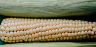 Geleceğin Algı Yönetimi: Yapay Zeka ve Veri Analitiğinin Rolü Geleceğin Algı Yönetimi: Yapay Zeka ve Veri Analitiğinin Rolü