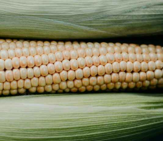 Geleceğin Algı Yönetimi: Yapay Zeka ve Veri Analitiğinin Rolü Geleceğin Algı Yönetimi: Yapay Zeka ve Veri Analitiğinin Rolü