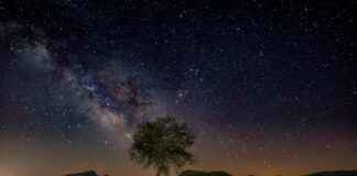 İşveren Markası ve Dijital İtibar: Çalışanlarınızın Online Yorumları Önemli mi? İşveren Markası ve Dijital İtibar: Çalışanlarınızın Online Yorumları Önemli mi?