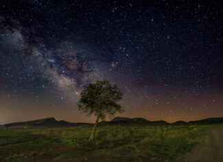 İşveren Markası ve Dijital İtibar: Çalışanlarınızın Online Yorumları Önemli mi? İşveren Markası ve Dijital İtibar: Çalışanlarınızın Online Yorumları Önemli mi?