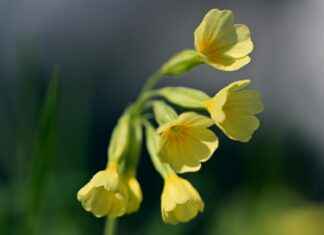 Kişisel Verilerin Korunması Kanunu (KVKK) ve Dijital İtibar Yönetimi Kişisel Verilerin Korunması Kanunu (KVKK) ve Dijital İtibar Yönetimi