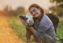 Kriz Öncesi, Sırası ve Sonrası: Stratejik Bir Yaklaşım Kriz Öncesi, Sırası ve Sonrası: Stratejik Bir Yaklaşım