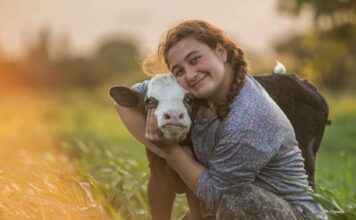 Kriz Yönetiminde Sosyal Medyanın Gücü: Algıyı Doğru Yönetmek Kriz Yönetiminde Sosyal Medyanın Gücü: Algıyı Doğru Yönetmek