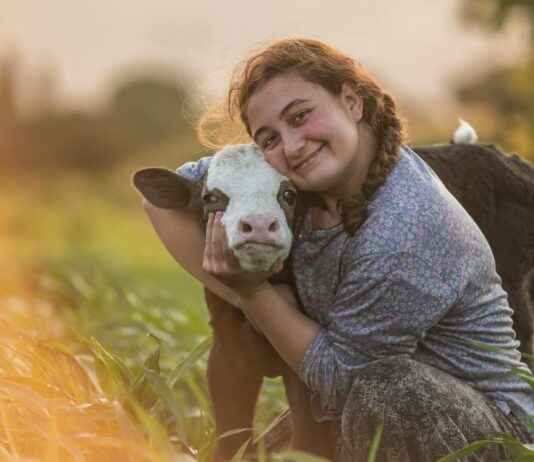 Kriz Yönetiminde Sosyal Medyanın Gücü: Algıyı Doğru Yönetmek Kriz Yönetiminde Sosyal Medyanın Gücü: Algıyı Doğru Yönetmek