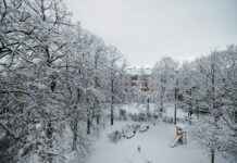 Mack Park: Şehrin Kalbinde Huzurlu Bir Kaçış Mack Park: Şehrin Kalbinde Huzurlu Bir Kaçış