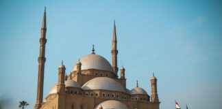 Markalar İçin Algı Yönetimi: Tüketicinin Gözünde Güçlü Kalmak Markalar İçin Algı Yönetimi: Tüketicinin Gözünde Güçlü Kalmak