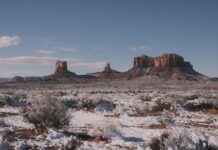 Prop 479: Arizona’daki Hukuki Etkilerini Anlamak Prop 479: Arizona'daki Hukuki Etkilerini Anlamak