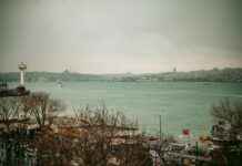 Sağlık Sektöründe Kriz Yönetimi: Pandemiler ve Acil Durumlar Sağlık Sektöründe Kriz Yönetimi: Pandemiler ve Acil Durumlar