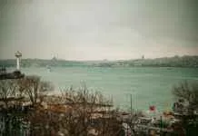 Sağlık Sektöründe Kriz Yönetimi: Pandemiler ve Acil Durumlar Sağlık Sektöründe Kriz Yönetimi: Pandemiler ve Acil Durumlar