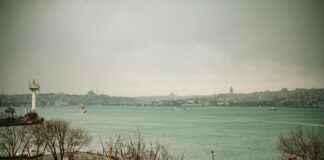 Sağlık Sektöründe Kriz Yönetimi: Pandemiler ve Acil Durumlar Sağlık Sektöründe Kriz Yönetimi: Pandemiler ve Acil Durumlar