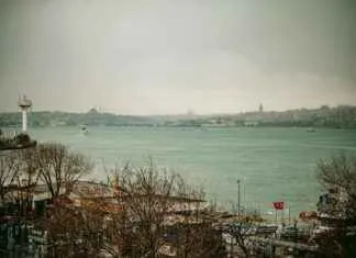 Sağlık Sektöründe Kriz Yönetimi: Pandemiler ve Acil Durumlar Sağlık Sektöründe Kriz Yönetimi: Pandemiler ve Acil Durumlar