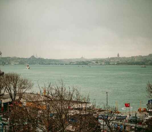 Sağlık Sektöründe Kriz Yönetimi: Pandemiler ve Acil Durumlar Sağlık Sektöründe Kriz Yönetimi: Pandemiler ve Acil Durumlar