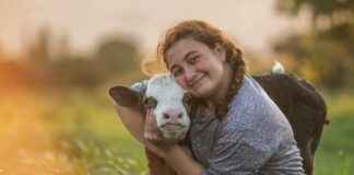 Şirketlerin Medyada İtibarlarını Koruyarak Krizleri Atlatmaları İçin En İyi Örnekler Şirketlerin Medyada İtibarlarını Koruyarak Krizleri Atlatmaları İçin En İyi Örnekler