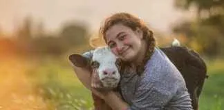 Şirketlerin Medyada İtibarlarını Koruyarak Krizleri Atlatmaları İçin En İyi Örnekler Şirketlerin Medyada İtibarlarını Koruyarak Krizleri Atlatmaları İçin En İyi Örnekler