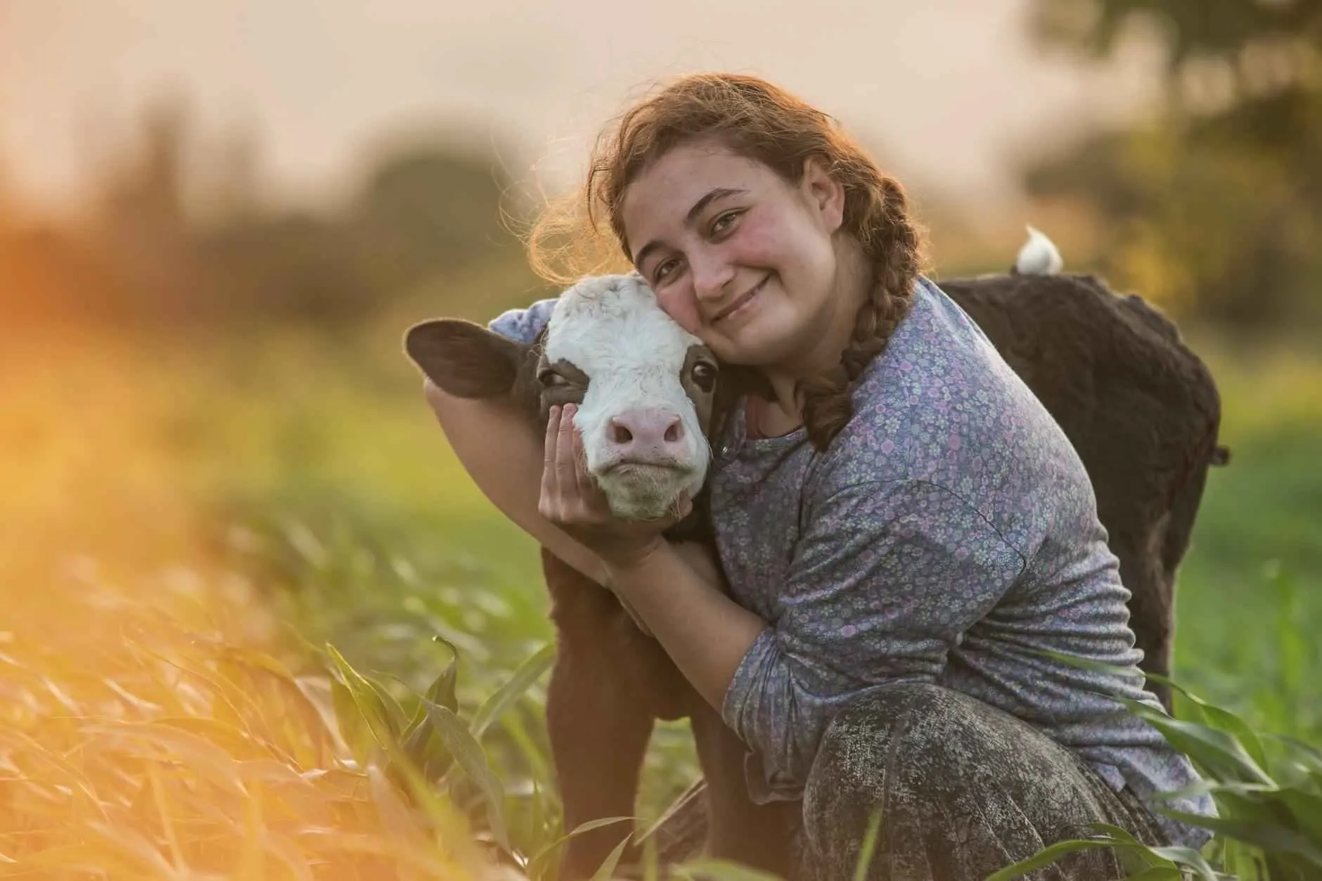 Şirketlerin Medyada İtibarlarını Koruyarak Krizleri Atlatmaları İçin En İyi Örnekler Şirketlerin Medyada İtibarlarını Koruyarak Krizleri Atlatmaları İçin En İyi Örnekler