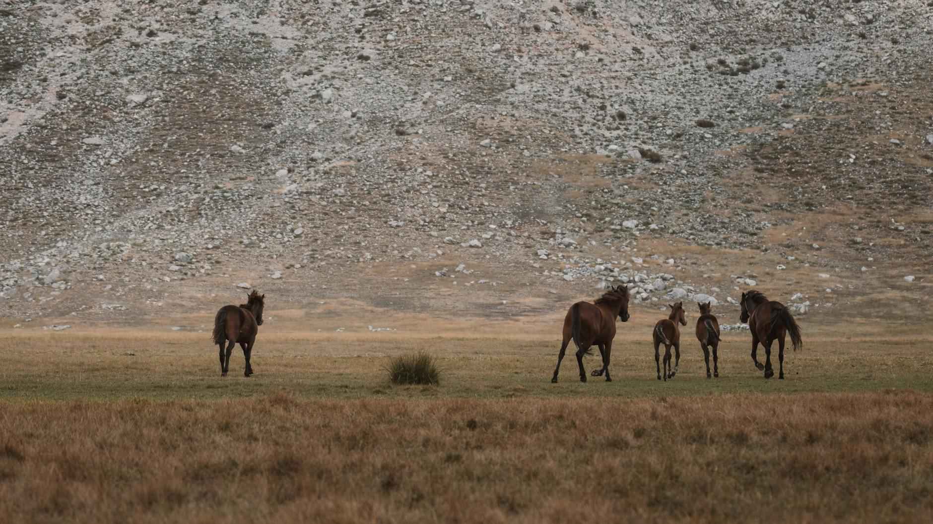 Sosyal Medya ve Geleneksel Medya Arasındaki İlişki Sosyal Medya ve Geleneksel Medya Arasındaki İlişki