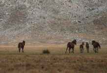 Sosyal Medyada Olumsuz İçerikleri Yönetmenin En İyi Yöntemleri Sosyal Medyada Olumsuz İçerikleri Yönetmenin En İyi Yöntemleri