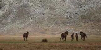Sosyal Medyada Olumsuz İçerikleri Yönetmenin En İyi Yöntemleri Sosyal Medyada Olumsuz İçerikleri Yönetmenin En İyi Yöntemleri