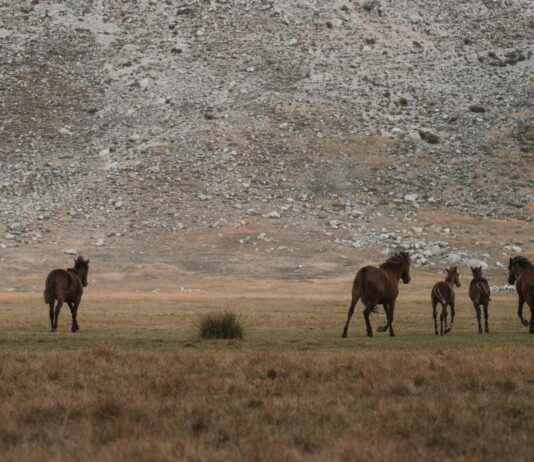Sosyal Medyada Olumsuz İçerikleri Yönetmenin En İyi Yöntemleri Sosyal Medyada Olumsuz İçerikleri Yönetmenin En İyi Yöntemleri