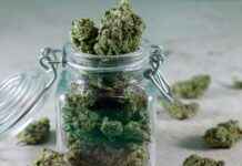 The Mint Dispensary Tempe: Premium Cannabis Products at Your Fingertips The Mint Dispensary Tempe: Premium Cannabis Products at Your Fingertips