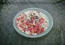 Zen House: Yaşam Alanınızda Huzur Yaratma Zen House: Yaşam Alanınızda Huzur Yaratma