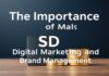 Dijital Pazarlama ve Marka Yönetiminde SSD’lerin Önemi The Importance of SSDs in Digital Marketing and Brand Management