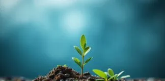 İklim Değişikliği ve Dijital Pazarlama Stratejilerinin İlişkisi The Relationship Between Climate Change and Digital Marketing Strategies