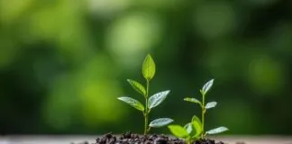 Marketing Stratejilerinde Çevre Bilinci: İttifaklar ve Etkileşimler Environmental Awareness in Marketing Strategies: Alliances and Interactions